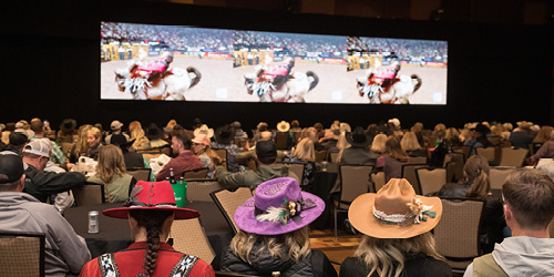 2026 NFR Page 500x250.jpg